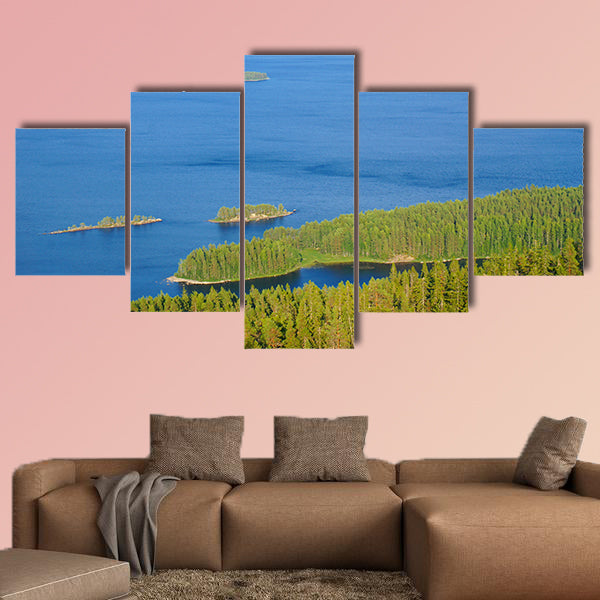 View of the lake Pielinen with many small islands in national wall art