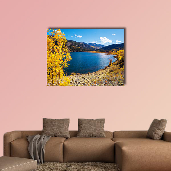 Colorful yellow autumn in Colorado, United States. wall art