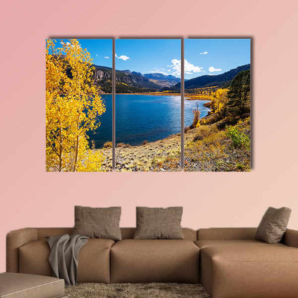 Colorful yellow autumn in Colorado, United States. wall art