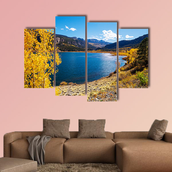Colorful yellow autumn in Colorado, United States. wall art