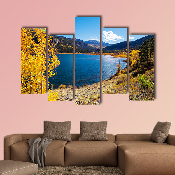 Colorful yellow autumn in Colorado, United States. wall art