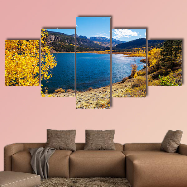 Colorful yellow autumn in Colorado, United States. wall art