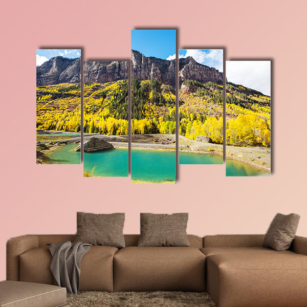 Colorful yellow autumn in Colorado, United States. Fall season wall art