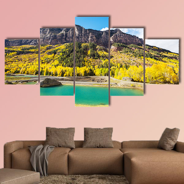 Colorful yellow autumn in Colorado, United States. Fall season wall art