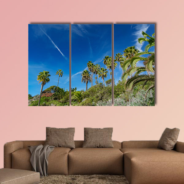 Beautiful scenery around Laguna Beach, California Multi panel canvas wall art