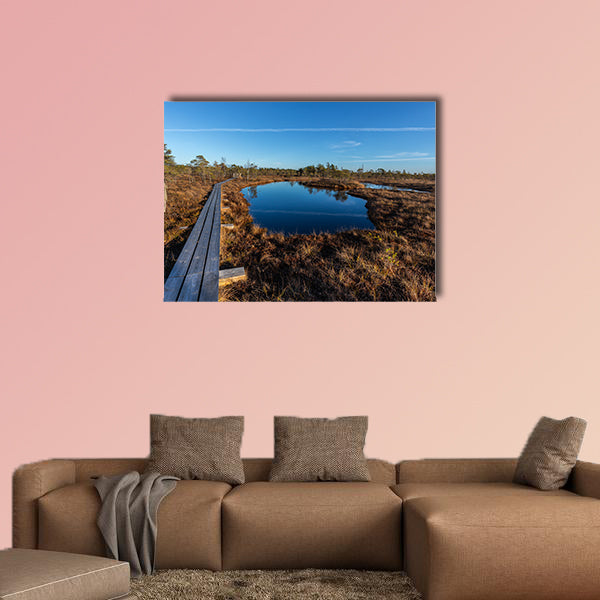 Raised bog boardwalk. Kemeri National park in Latvia in summer wall art