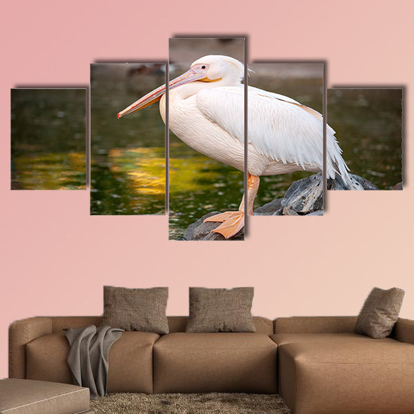 White Pelican, Pelecanus onocrotalus, in zoo Side view Multi panel canvas wall art