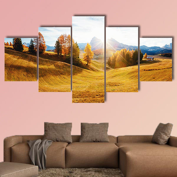 Magic image of larchs on the slopes of bright hills multi panel canvas wall art