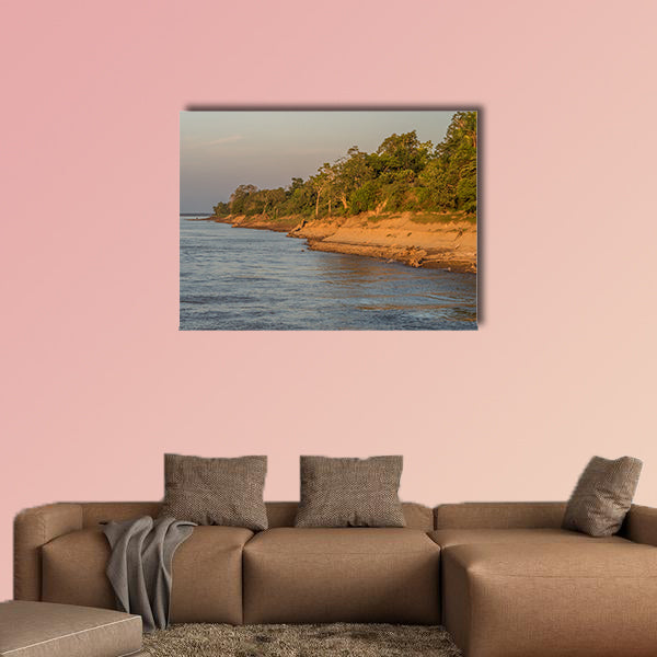 Bank of the Amazon River during the low water season wall art