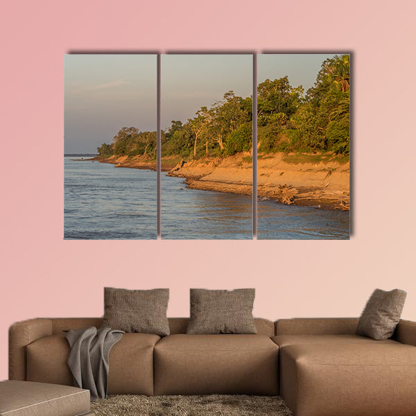 Bank of the Amazon River during the low water season wall art