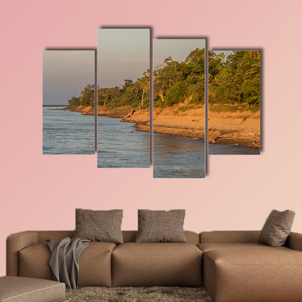 Bank of the Amazon River during the low water season wall art