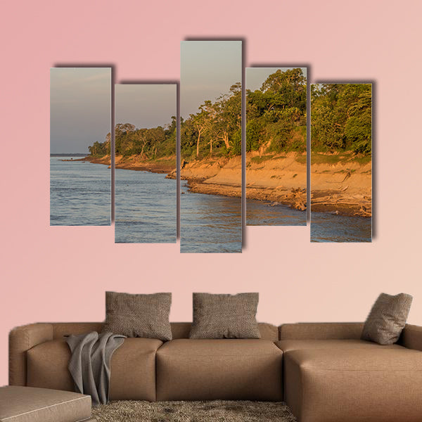 Bank of the Amazon River during the low water season wall art