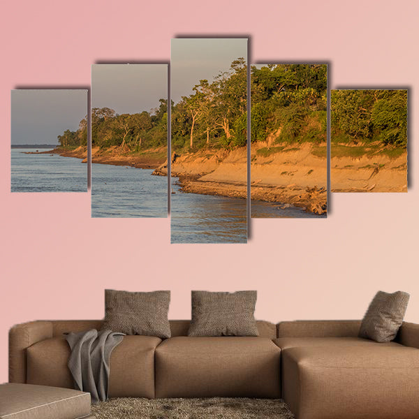 Bank of the Amazon River during the low water season wall art