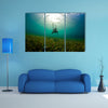 A Young woman dives down to explore the se grass bad in Honduras Multi panel canvas wall art