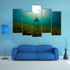 A Young woman dives down to explore the se grass bad in Honduras Multi panel canvas wall art