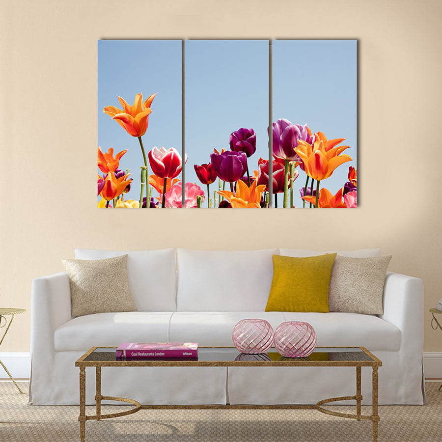 Lovely multicolored tulips against a blue sky Multi Panel Canvas Wall Art