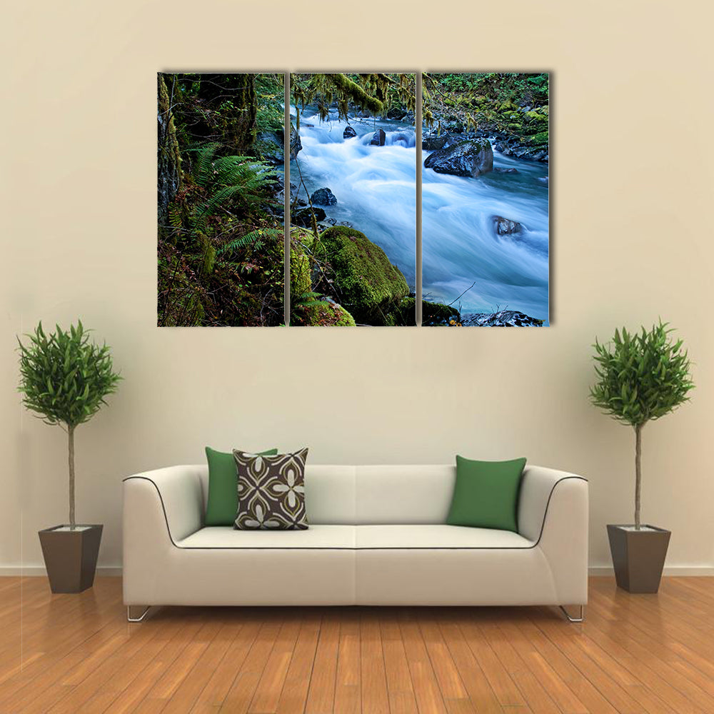 This beautiful nature image is a Pacific Northwest forest with a river running through over rocks multi panel canvas wall art