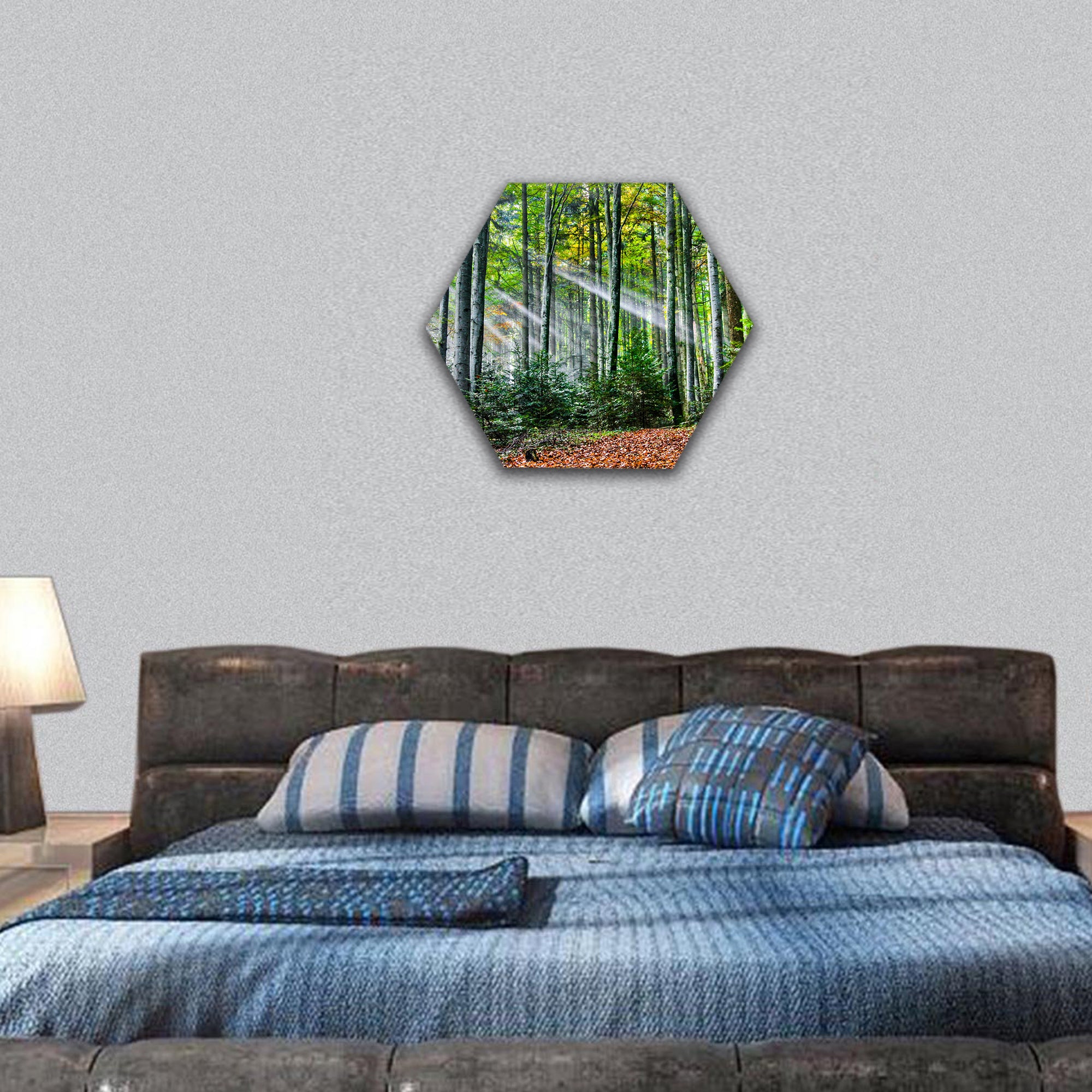 Sun rays in the forest hexagonal canvas wall art