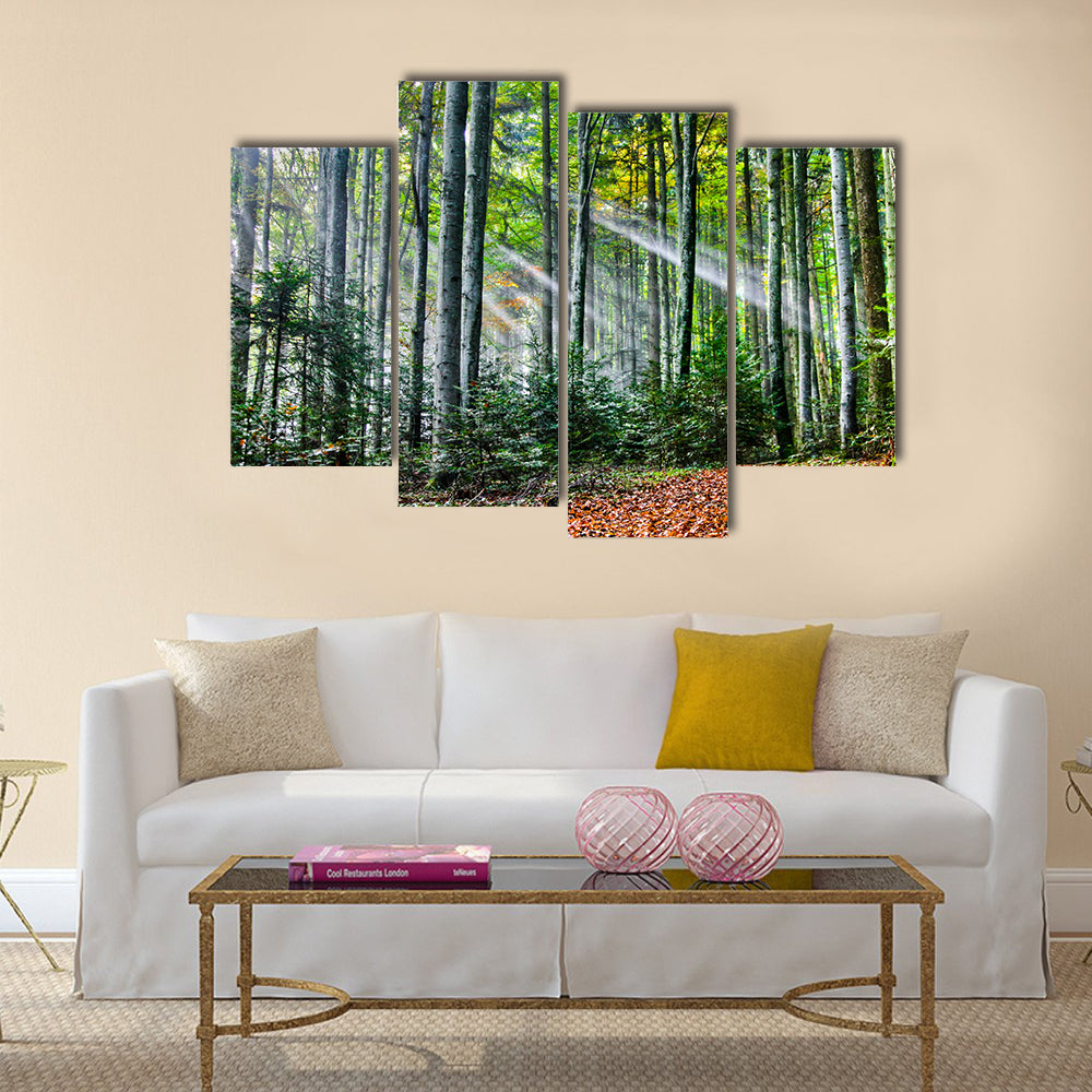 Sun rays in the forest multi panel canvas wall art