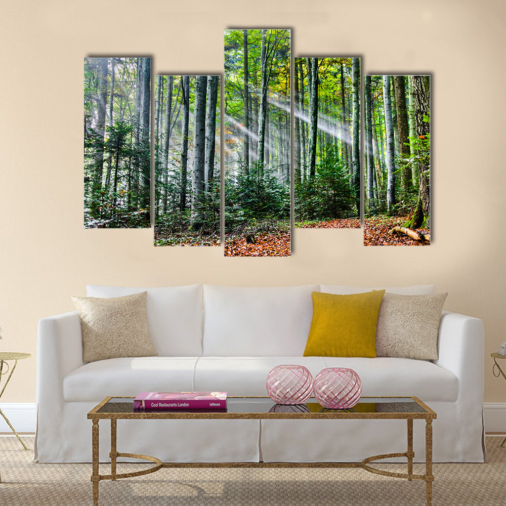 Sun rays in the forest multi panel canvas wall art
