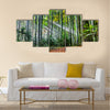 Sun rays in the forest multi panel canvas wall art