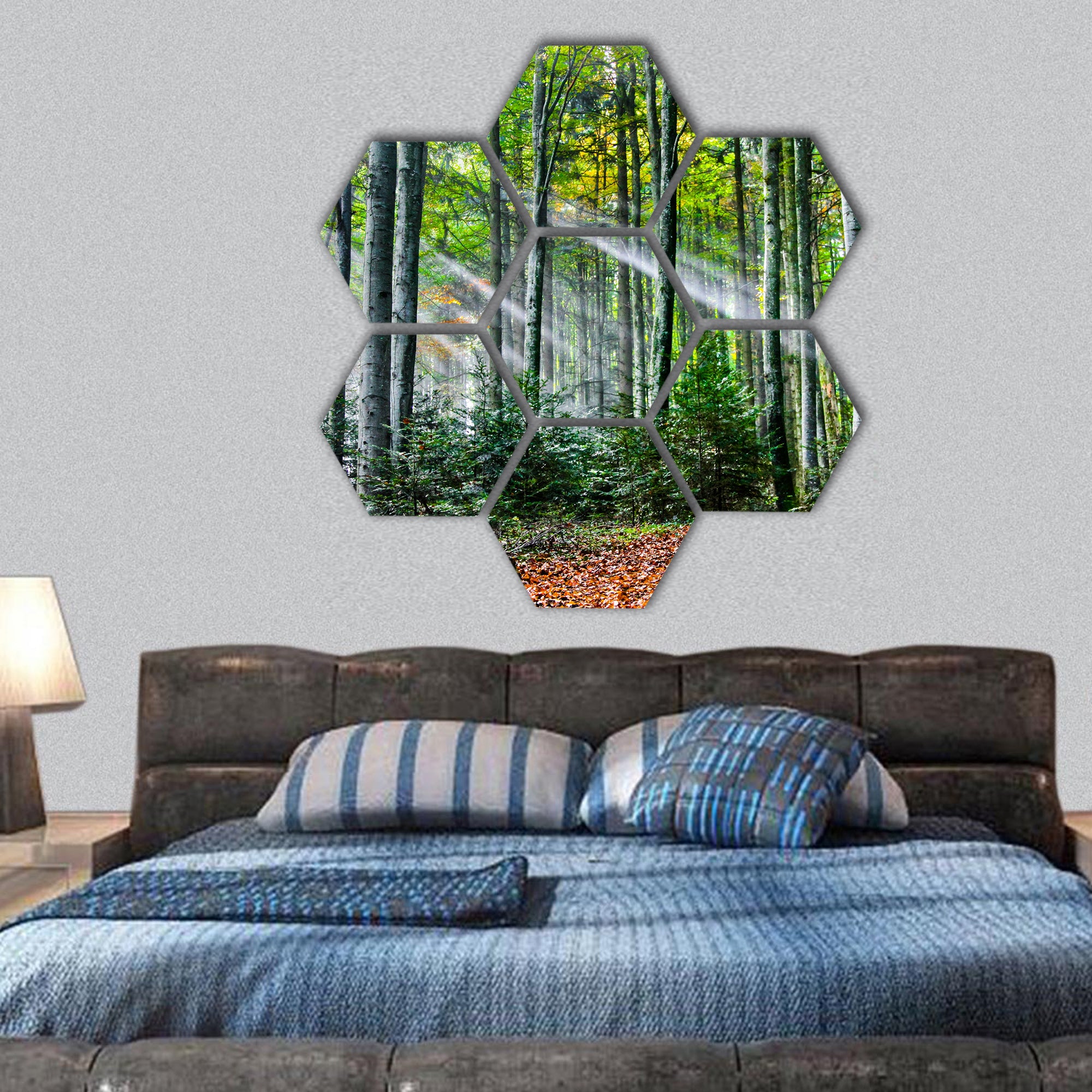 Sun rays in the forest hexagonal canvas wall art