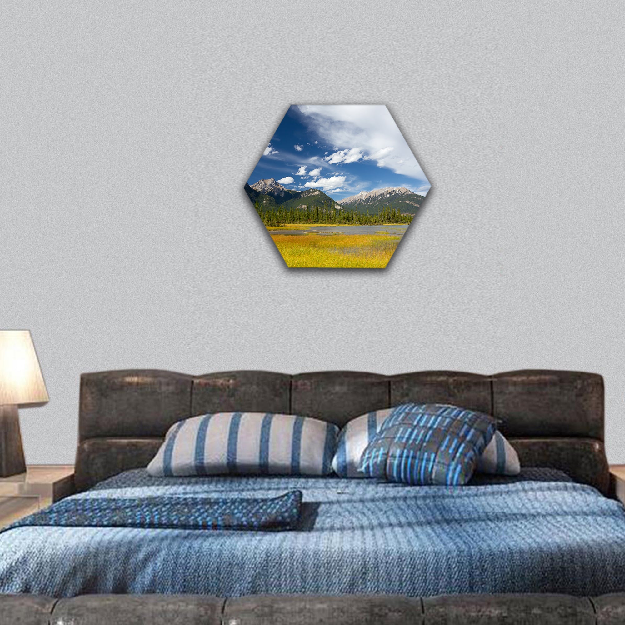 Canadian Landscape: Swampy Lake, Rocky Mountains hexagonal canvas wall art