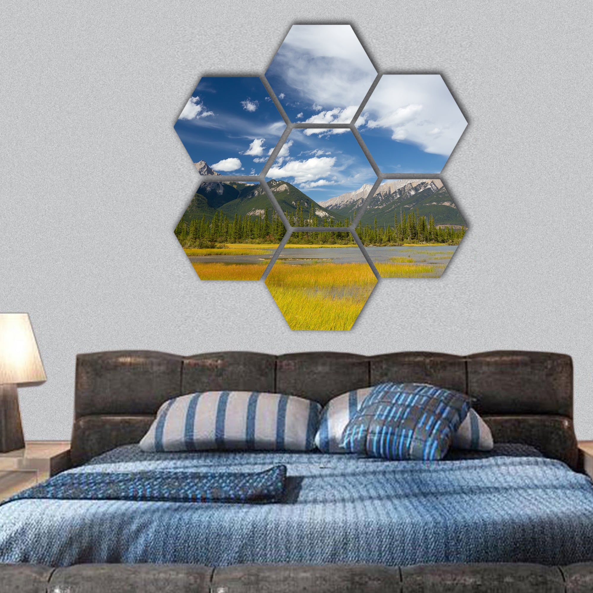 Canadian Landscape: Swampy Lake, Rocky Mountains hexagonal canvas wall art