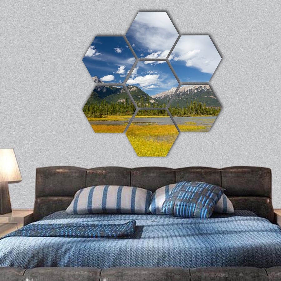Canadian Landscape: Swampy Lake, Rocky Mountains hexagonal canvas wall art