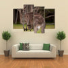 Kangaroo mum with a Baby Joey in the Pouch-Closeup Multi Panel Canvas Wall Art