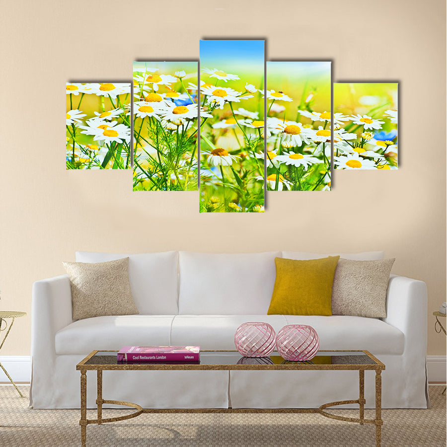 Sunny daisy field Multi Panel Canvas Wall Art
