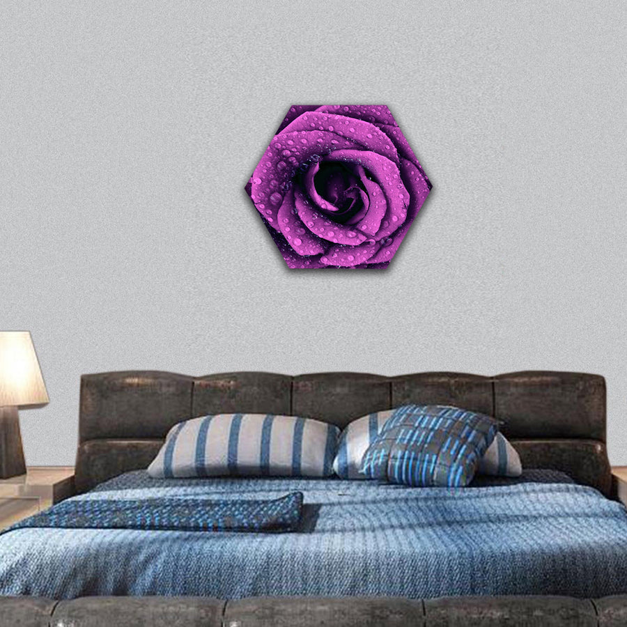 Purple dark rose symbol of love hexagonal canvas wall art