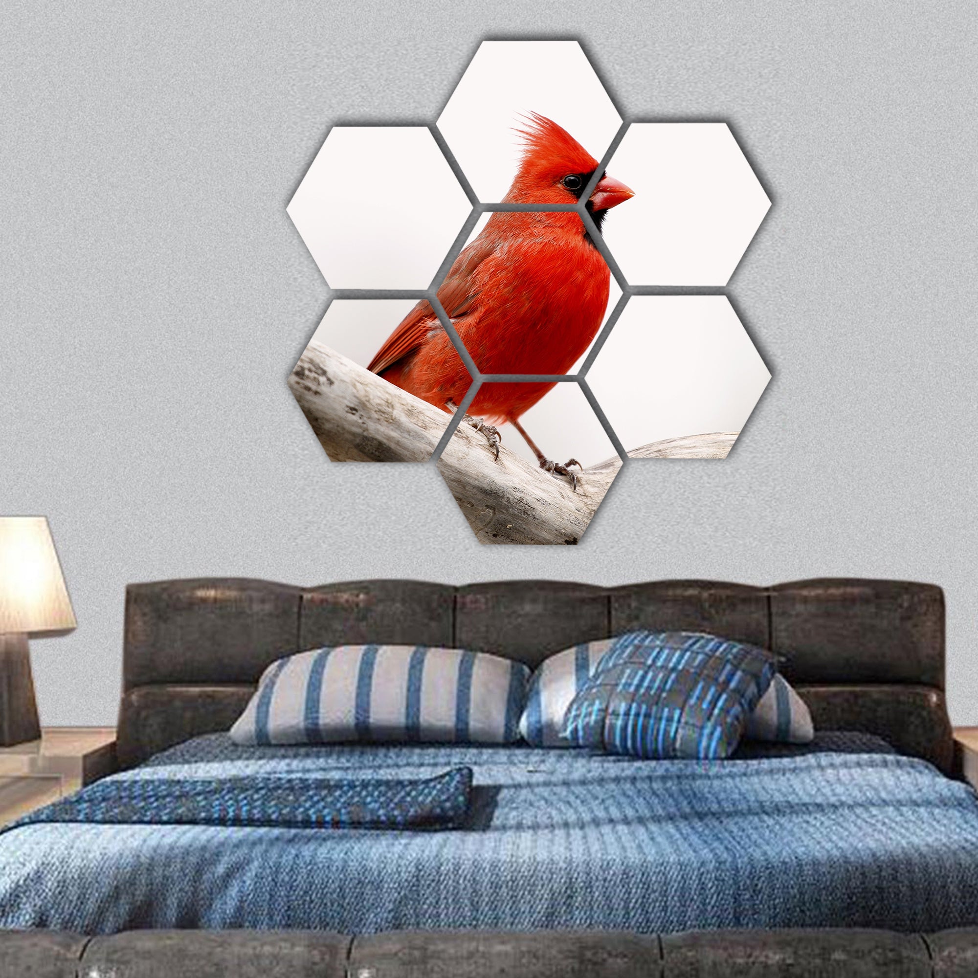 Male Cardinal hexagonal canvas wall art