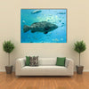 A Goliath Grouper Swims with Other Fish Multi Panel Canvas Wall Art