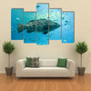 A Goliath Grouper Swims with Other Fish Multi Panel Canvas Wall Art