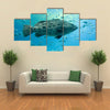 A Goliath Grouper Swims with Other Fish Multi Panel Canvas Wall Art