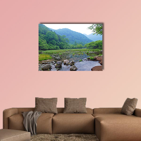 A small stream in morning mist in Nikko National Park in Japan Multi panel canvas wall art
