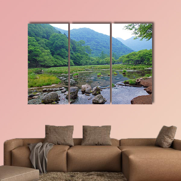 A small stream in morning mist in Nikko National Park in Japan Multi panel canvas wall art