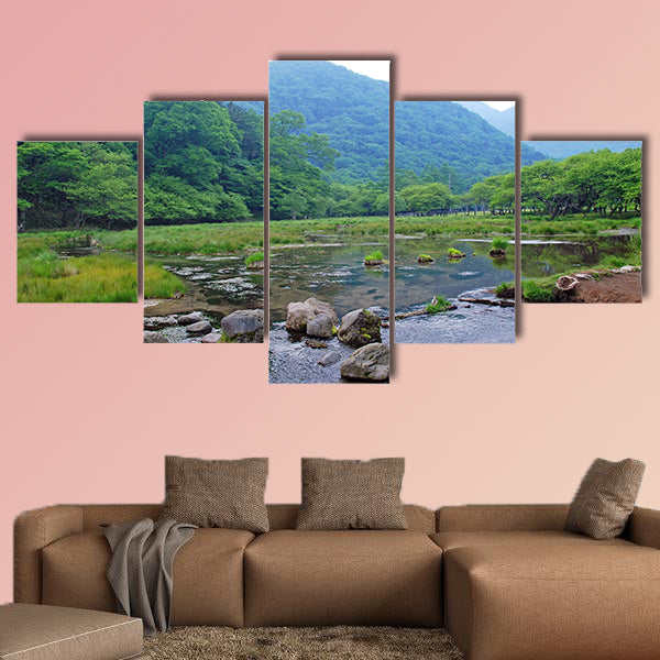 A small stream in morning mist in Nikko National Park in Japan Multi panel canvas wall art