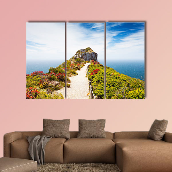Cape point, South Africa multi panel canvas wall art