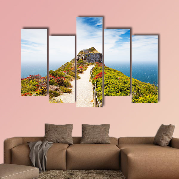 Cape point, South Africa multi panel canvas wall art