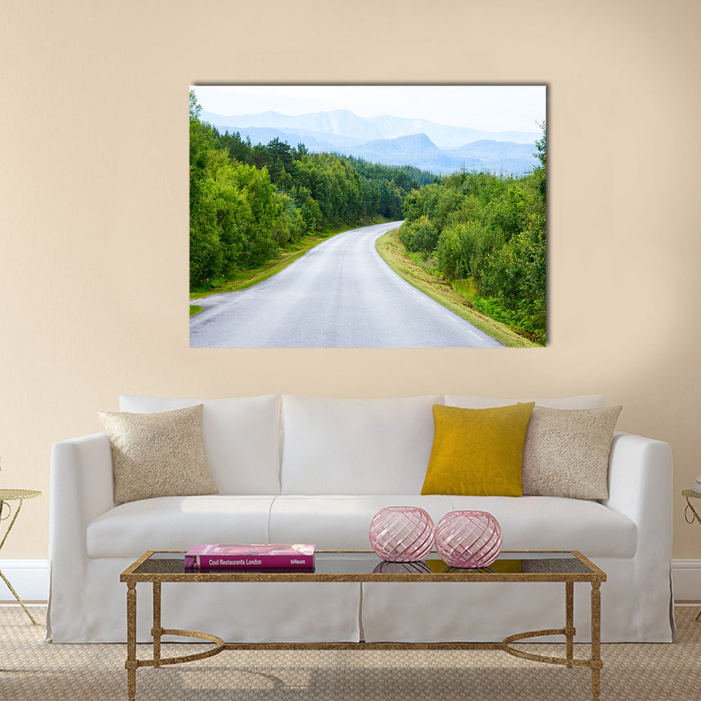 Scenic winding road through green forest in Norway multi panel canvas wall art