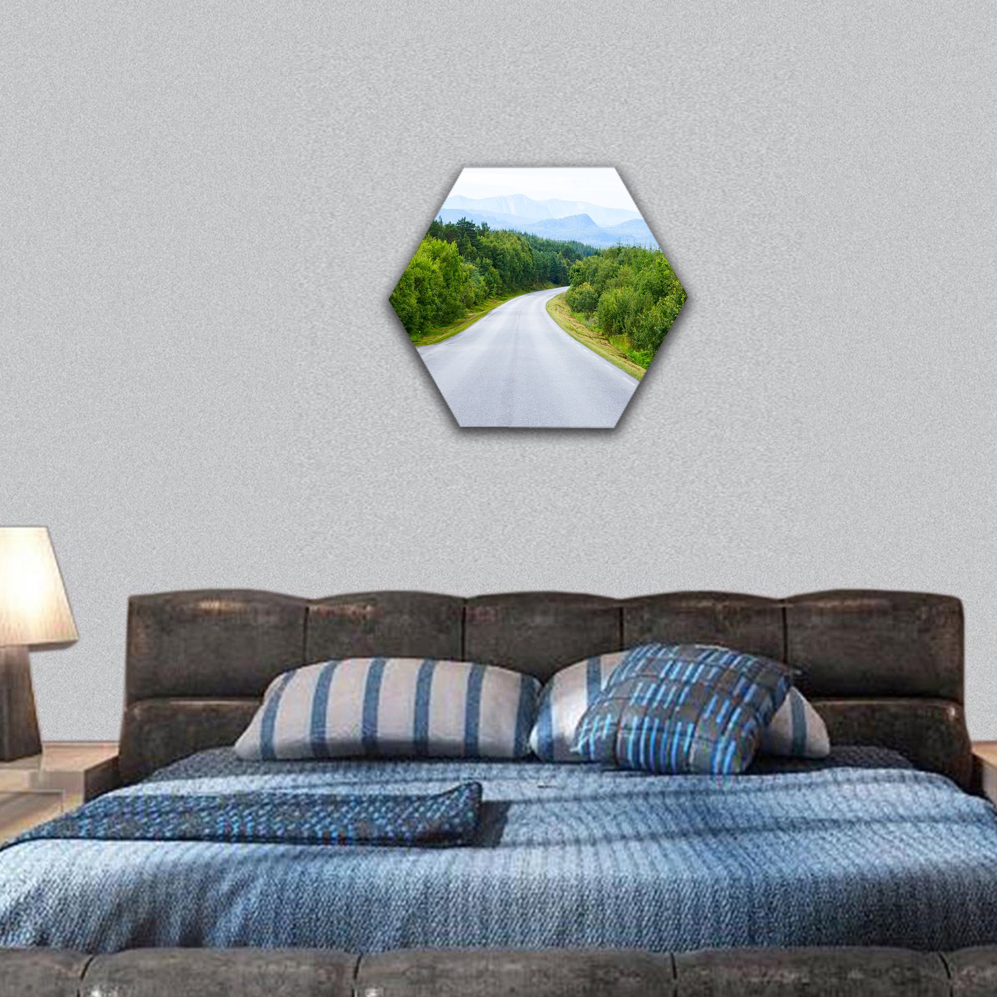 Scenic winding road through green forest in Norway hexagonal canvas wall art