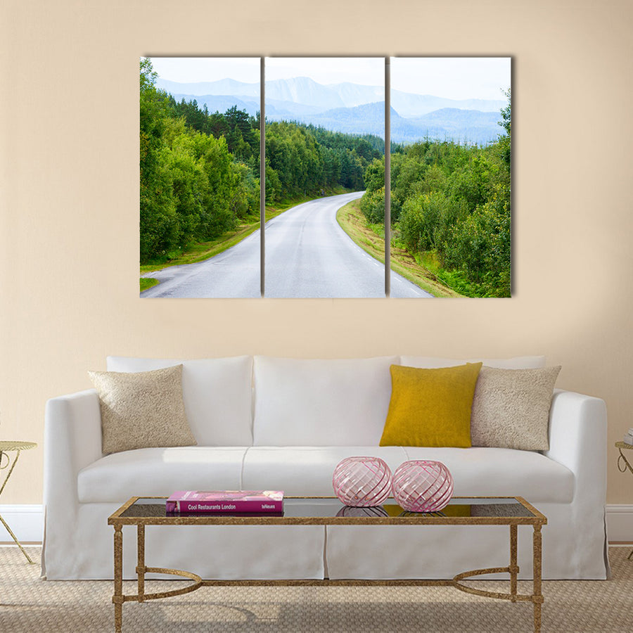 Scenic winding road through green forest in Norway multi panel canvas wall art