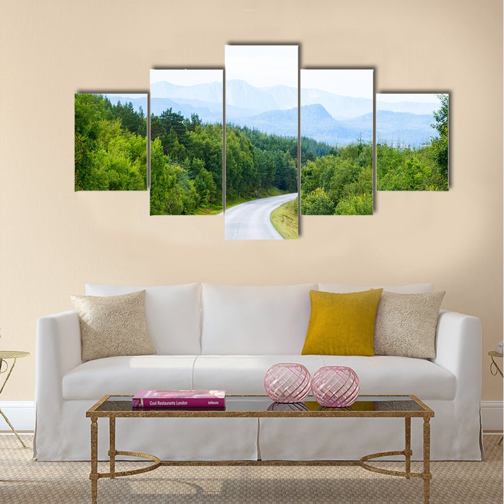 Scenic winding road through green forest in Norway multi panel canvas wall art