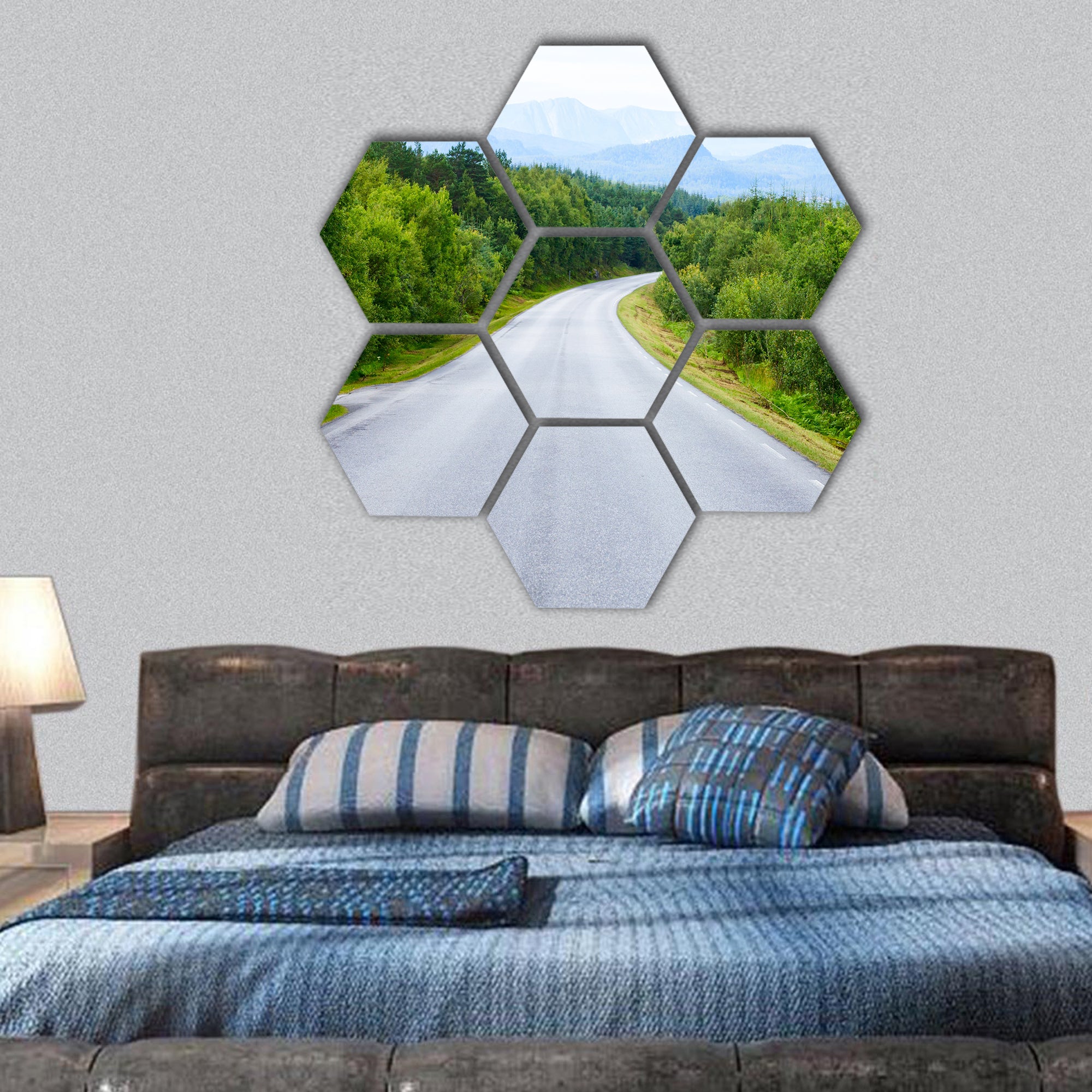 Scenic winding road through green forest in Norway hexagonal canvas wall art