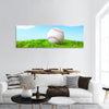 Base ball in green grass field with blue sky panoramic canvas wall art