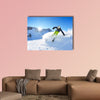 Skier skiing downhill on fresh powder snow with sun and mountains wall art