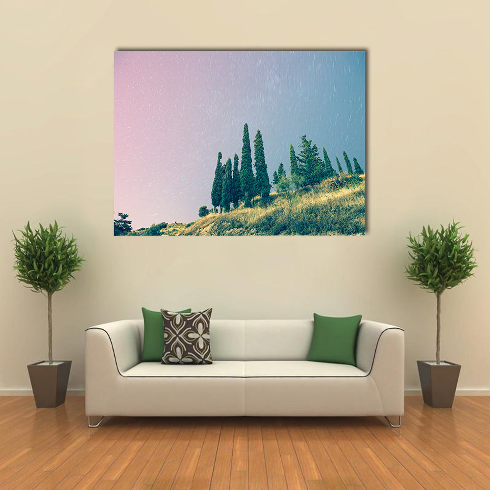 Stars in a Pinky Sky Multi Panel Canvas Wall Art Set Multi Panel Canvas Wall Art