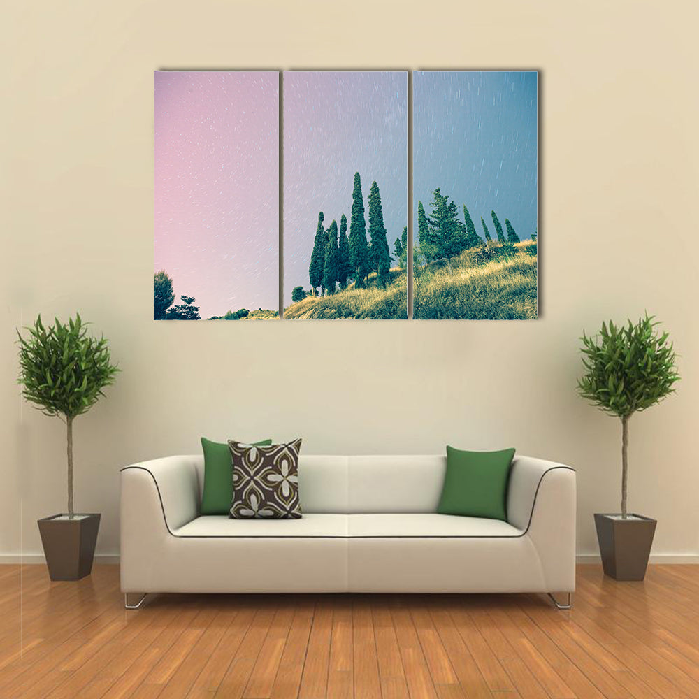 Stars in a Pinky Sky Multi Panel Canvas Wall Art Set Multi Panel Canvas Wall Art